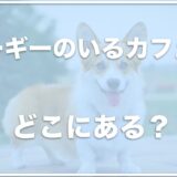 コーギーのいるカフェは東京・千葉・神奈川・茨城ではココ！関東で探している方はこれをチェック