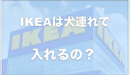 IKEAはペットは入れない？犬連れ・ペット同伴は不可なのか調査！