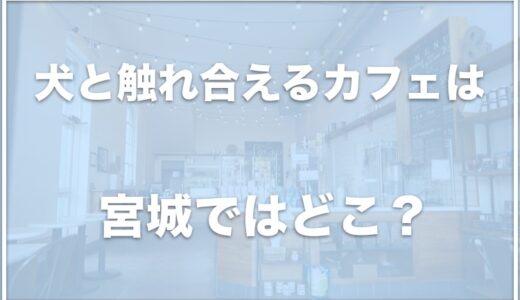 犬と触れ合えるカフェは宮城ではココ！柴犬カフェが仙台にあるかも調査！