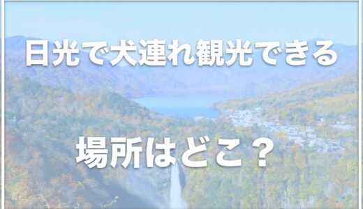 日光で犬連れ観光できる所は？日光東照宮や華厳の滝はペット・犬連れ可能なのか調査!