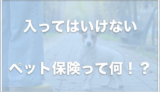 入ってはいけないペット保険の口コミは？いらない・後悔した理由やどこがいいか知恵袋の情報を調査！