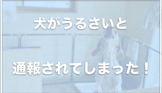 犬がうるさいと通報された！仕返しや殺意を持つ人も？ノイローゼになる前に対処法をチェック