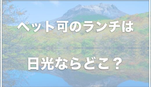 日光のペット可のランチはココ！犬連れで蕎麦を楽しめるお店も！