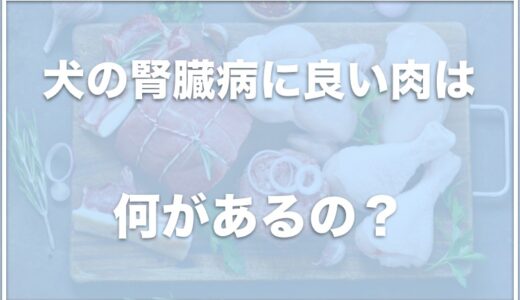 犬の腎臓病に良い肉は？リンの少ない肉や犬の為に低タンパク食を手作りしたい人におすすめの食材を調査！