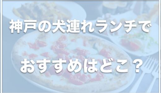 神戸の犬連れランチでおすすめはココ！三宮で犬連れランチを楽しめる場所も紹介