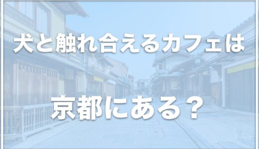 犬と触れ合えるカフェは京都ではココ！犬カフェで河原町にある場所も調査！