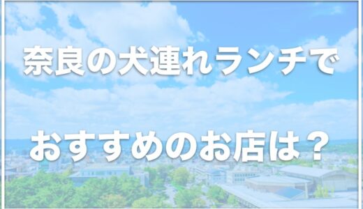 奈良の犬連れランチでおすすめはココ!奈良公園付近で犬連れランチを楽しめるお店も調査!