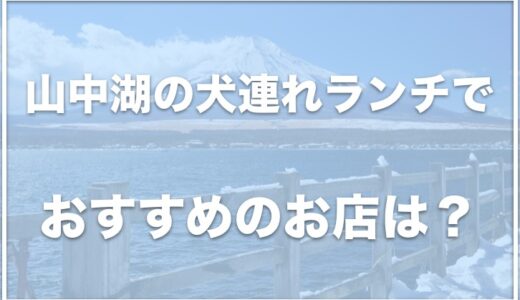 山中湖で犬連れランチ・ほうとうを食べれるお店はココ！ペット可のお店を紹介！