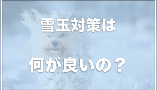 犬の雪玉が気持ち悪い！対策やなぜできるか・取り方も調査！