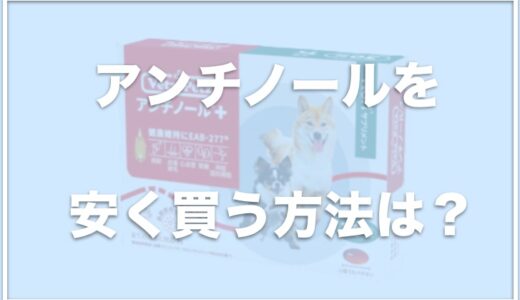 アンチノール(犬用)を安く買う方法は？最安値情報や肝臓が悪くなるか調査！