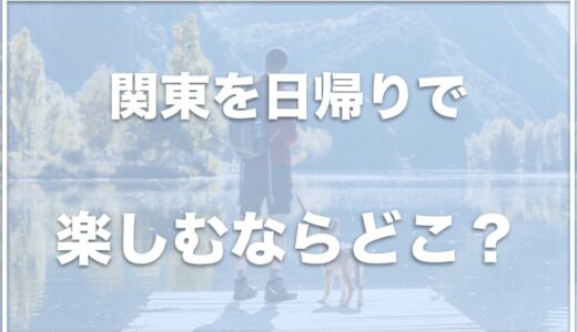 【犬とお出かけ】関東を日帰りで楽しむならココ！おすすめスポットの特徴も