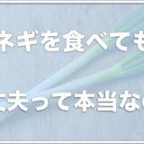 犬がネギを食べた！少量なら大丈夫だったという人も？症状や致死量を調査！