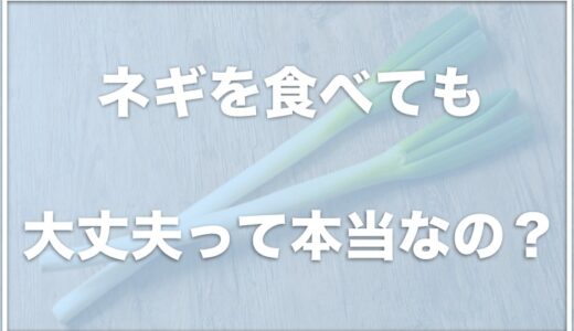 犬がネギを食べた！少量なら大丈夫だったという人も？症状や致死量を調査！