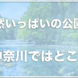 犬とお出かけを神奈川でするならココ！自然がいっぱいの公園も