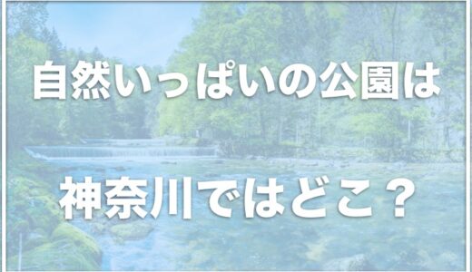 犬とお出かけを神奈川でするならココ！自然がいっぱいの公園も