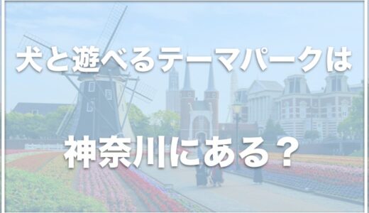 犬と遊べるテーマパークは神奈川ではココ！犬とお出かけするならコレをチェック