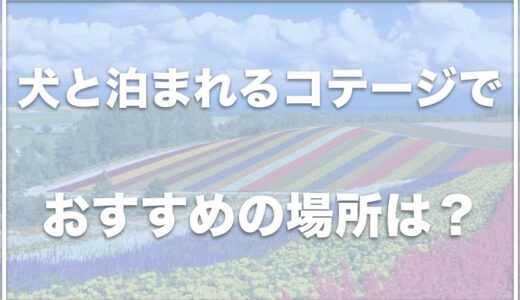 北海道の犬と泊まれるコテージはココ！一棟貸しでペット可の場所も調査