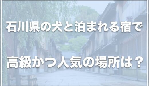 石川県の犬と泊まれる宿で高級かつ人気の場所はココ！コテージも紹介