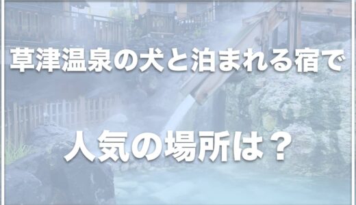 草津温泉のペットと泊まれる宿人気ランキング！高級宿やコテージも紹介