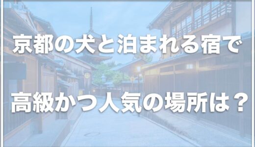 京都のペットと泊まれる宿で高級かつ人気の場所はココ！コテージも紹介