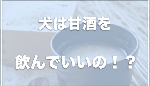 甘酒を飲んではいけない病気はある？犬に甘酒は腎臓が悪い場合も大丈夫か·効果や作り方も調査！