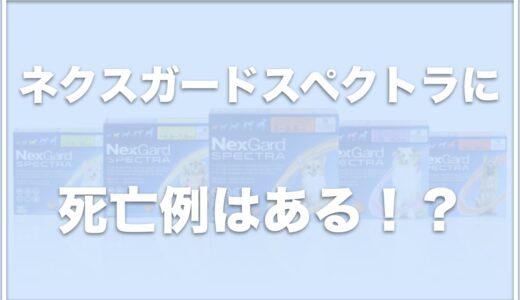 ネクスガードスペクトラに死亡例はある？回虫が出てきた場合の対処法や値段も調査！