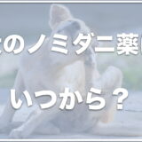 犬のノミダニ薬はいつから？予防にかかる料金や期間・おすすめの薬を調査！