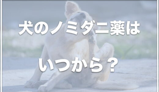 犬のノミダニ薬はいつから？予防にかかる料金や期間・おすすめの薬を調査！