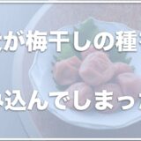 犬が梅干しの種を飲み込んだ・食べた！梅干しの種は胃で溶ける？生梅はNGかどうかも調査！