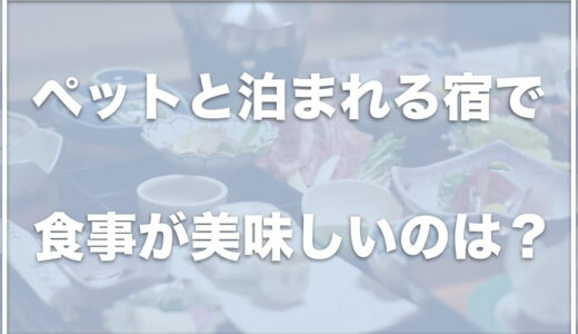 ペットと泊まれる宿で食事が美味しいのは関東ではココ！部屋食を楽しめる場所も！