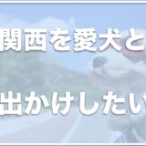 【犬とお出かけ】関西の穴場はココ！おすすめスポット11選を紹介