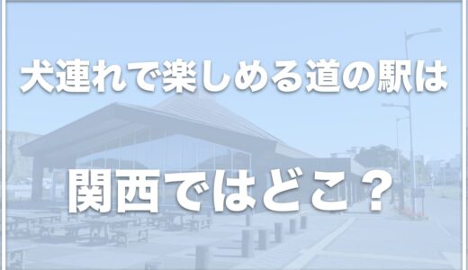 【道の駅】犬連れで楽しめる場所は関西ではココ！1日遊べる道の駅かつ関西で人気の場所を紹介！