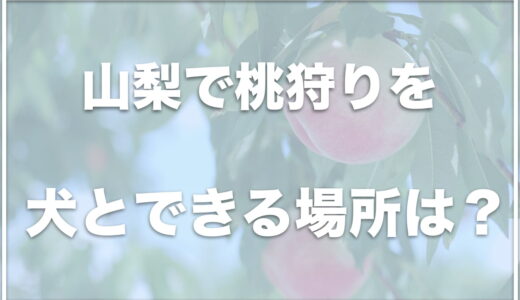 山梨で桃狩りを犬連れで楽しめるのはココ！フルーツ狩りをペット可で楽しめる場所も！