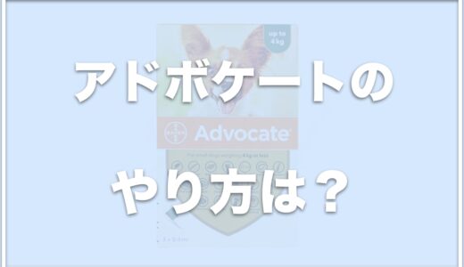 アドボケート(犬用)のやり方は？副作用はある？レボリューションとの違いも調査！