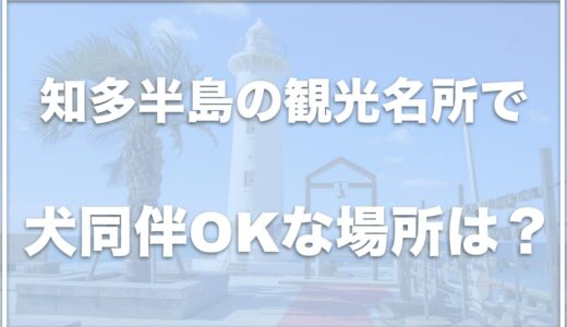 知多半島の犬同伴OKな観光名所はココ！ドッグランがある場所も紹介！