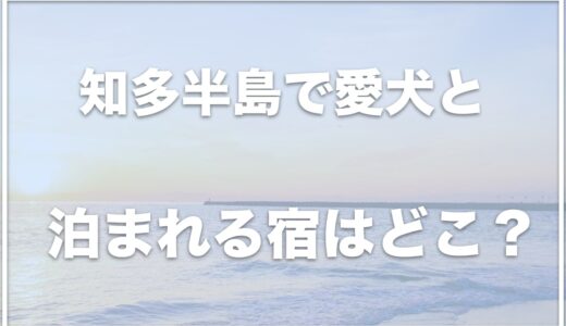 知多半島の犬と泊まれる宿はココ！ペット可の場所を紹介