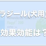 フラジール(犬用)の効能は？副作用はあるか口コミを調査！