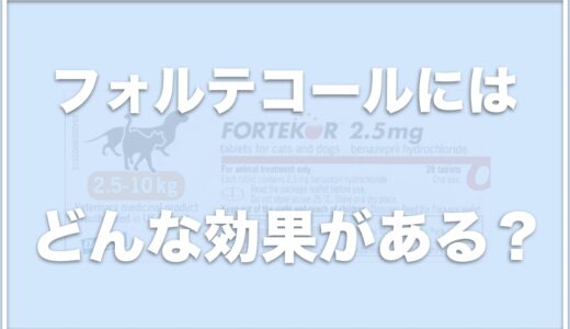 フォルテコール(犬用)の効果は？やめるのにはリスクがある？寿命や副作用についても調査！