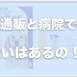 フロントラインは通販と病院で違いがある？効果ない？ノミが死なないこともあるのか調査！