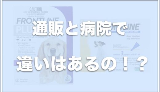 フロントラインは通販と病院で違いがある？効果ない？ノミが死なないこともあるのか調査！