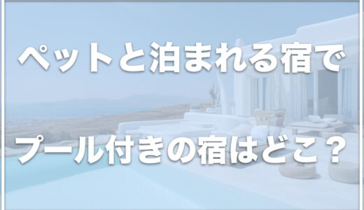 ペットと泊まれる宿(プール付き)は伊豆ならココ！おすすめの場所を紹介！