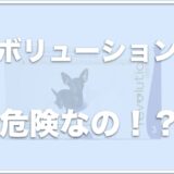 レボリューション(犬用)は危険？使い方や効果が出るまでの時間を調査！