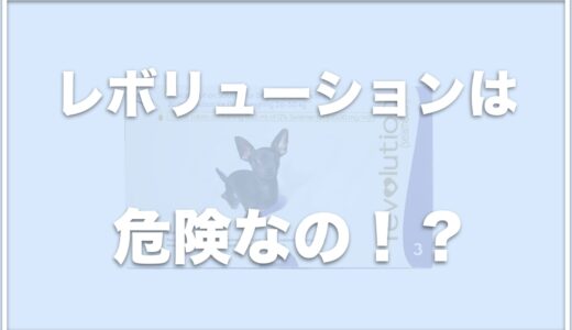 レボリューション(犬用)は危険？使い方や効果が出るまでの時間を調査！