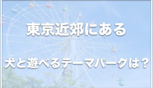 犬と遊べるテーマパークは東京近郊ならココ！神奈川や千葉にもある？注意点やおすすめポイントを紹介！