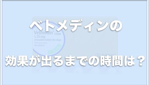 ベトメディン(犬用)の効果が出るまでの時間は？飲み忘れた場合の対処法・副作用も調査！