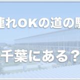 【道の駅】犬連れで楽しめる千葉の道の駅はココ！ドッグランのある場所も調査！