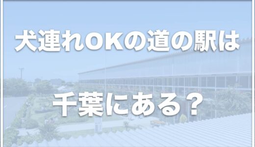 【道の駅】犬連れで楽しめる千葉の道の駅はココ！ドッグランのある場所も調査！