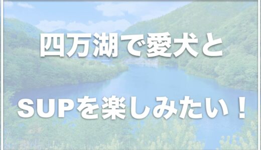 四万湖でSUPを犬と体験するならココの業者がおすすめ！初心者でも安心の業者を紹介！