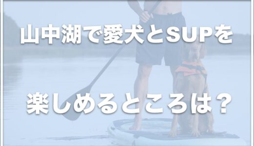 山中湖でサップを犬と体験するならココの業者がおすすめ！初心者でも安心の場所を調査！