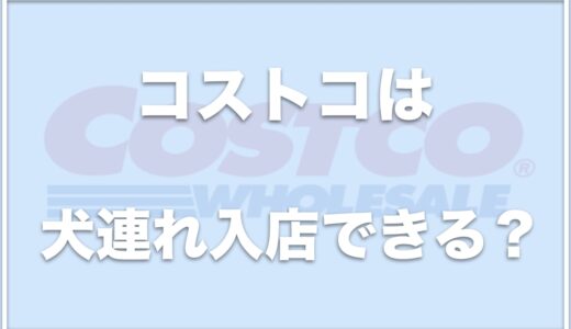 コストコは犬連れで入れる？ペット同伴OKか同伴可能の条件を調査！